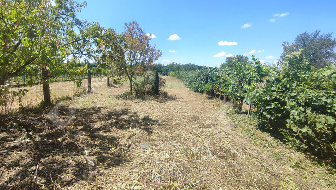 32. kép | Eladó Nyaraló, Szepetnek (#176202)