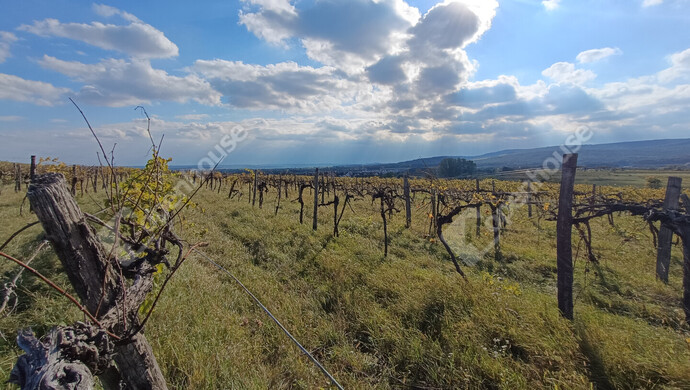 2. kép | Eladó Telek, Harka (#177346)