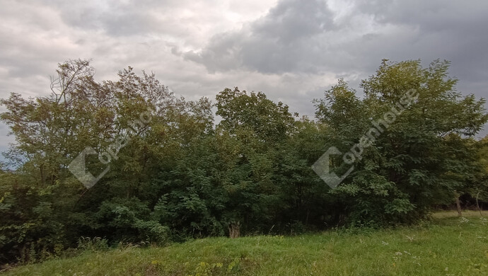 32. kép | Eladó Családi ház, Letenye (#178074)