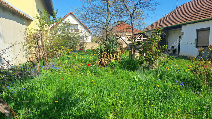 4. kép | Eladó Családi ház, Újkér (#181156)