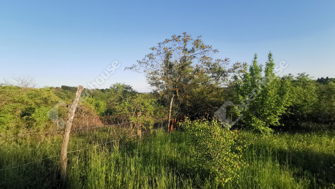 45. kép | Eladó Nyaraló, Homokkomárom (#174692)