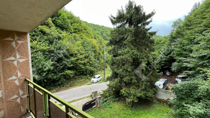 4. kép | Kilátás a teraszról az udvarra és az utcára | Eladó Családi ház, Miskolc (#176394)