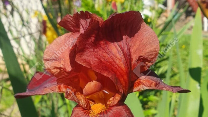 11. kép | Eladó Családi ház, Zalaegerszeg (#177461)