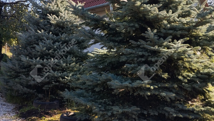 5. kép | Eladó Zárt kert, Győr (#177345)