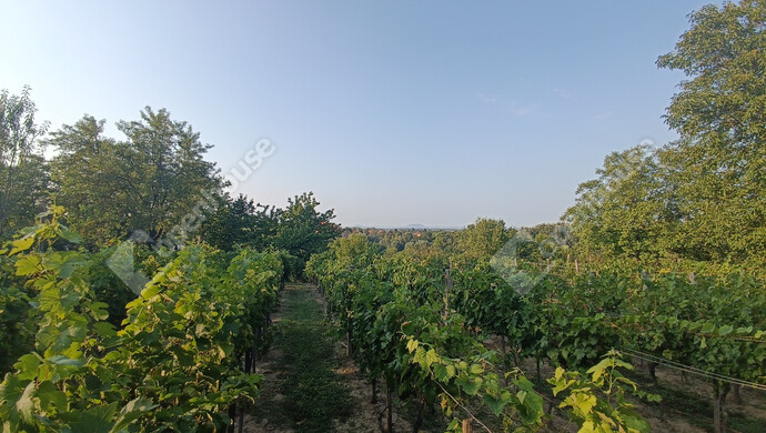 25. kép | Eladó Családi ház, Marcali (#177837)