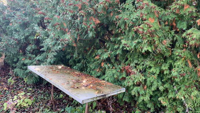 28. kép | Eladó Nyaraló, Homokkomárom (#178400)