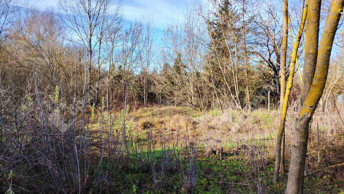 2. kép | Székesfehérvár eladó építési telek | Eladó Telek, Székesfehérvár (#178632)