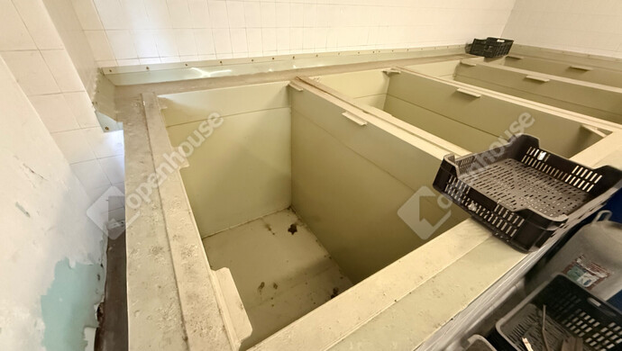 11. kép | Eladó Ipari ingatlan, Monor (#177539)