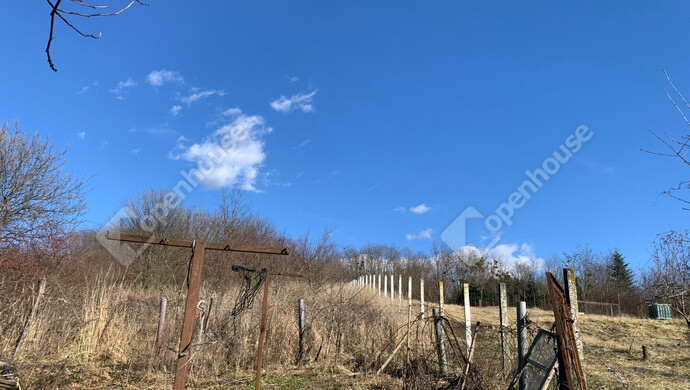 38. kép | Eladó Nyaraló, Homokkomárom (#179898)