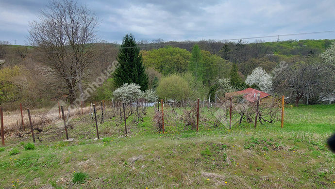 9. kép | Eladó Zárt kert, Miskolc (#156537)