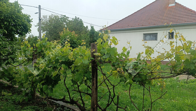 42. kép | Eladó Családi ház, Böhönye (#177736)