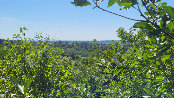 8. kép | Eladó Családi ház, Miskolc (#176191)