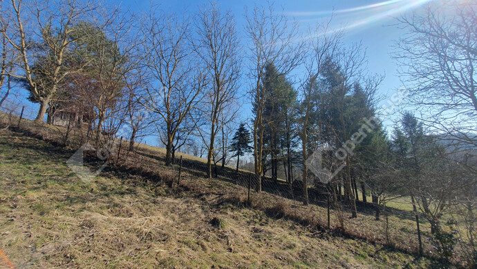 102. kép | Eladó Nyaraló, Homokkomárom (#180173)