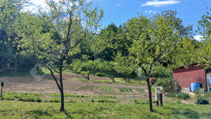 5. kép | Eladó Telek, Zalaegerszeg (#181578)