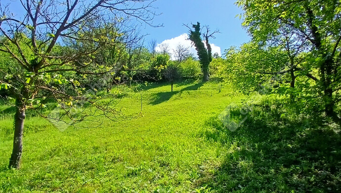 3. kép | Eladó Telek, Zalaegerszeg (#182102)