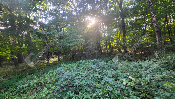 16. kép | Eladó Családi ház, Pilisszentkereszt (#177077)