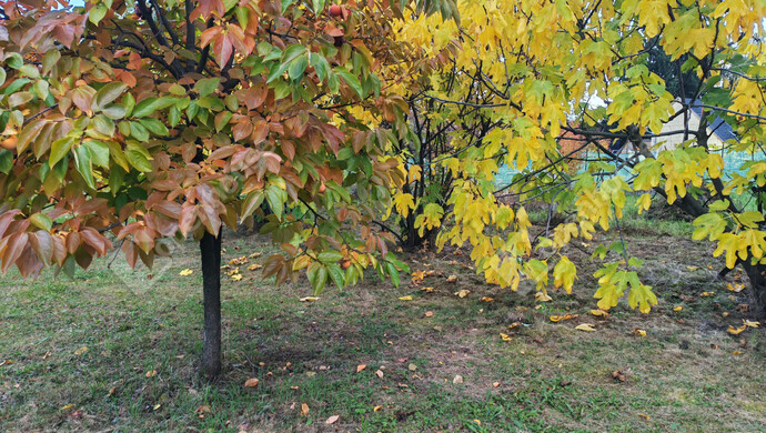 72. kép | Eladó Nyaraló, Nagykanizsa (#177970)