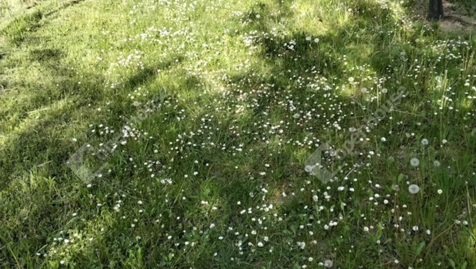 6. kép | Eladó Zárt kert, Ságvár (#178272)