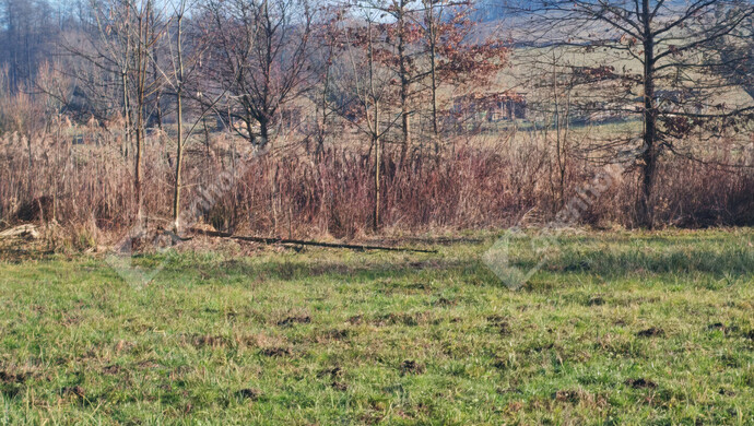 23. kép | Eladó Telek, Kiscsehi (#178890)