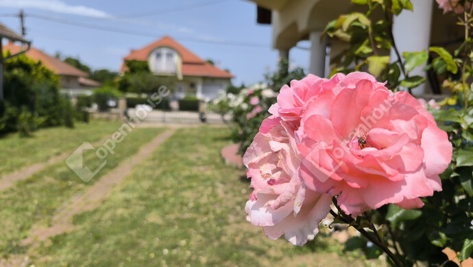 9. kép | Eladó Családi ház, Balatonberény (#177759)