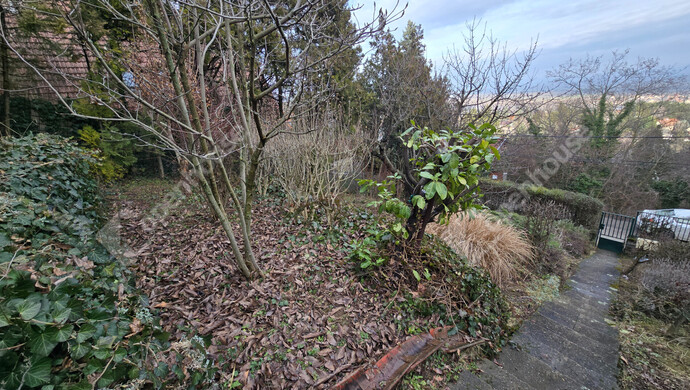 29. kép | Teraszos kert | Eladó Családi ház, Leányfalu (#179613)