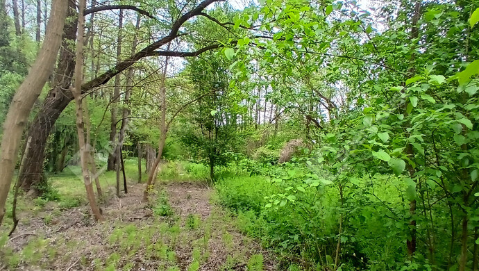 11. kép | Eladó Telek, Zalaegerszeg (#181405)
