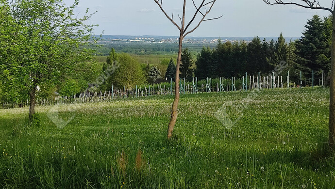 40. kép | Eladó Nyaraló, Homokkomárom (#174607)