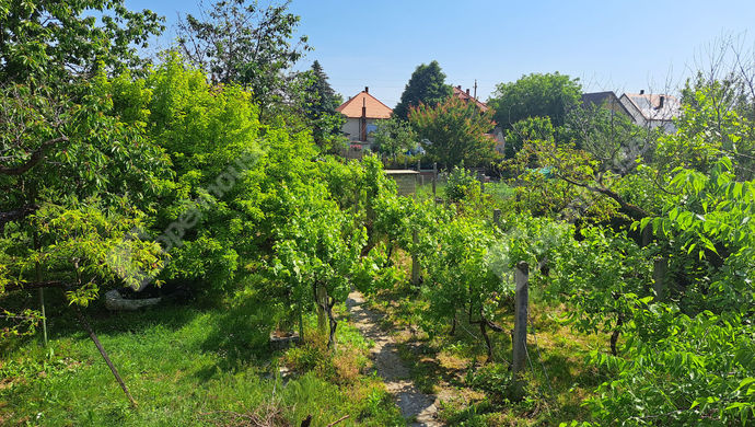 7. kép | kert | Eladó Családi ház, Győr (#162879)