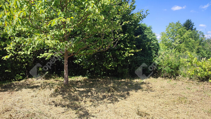 67. kép | Eladó Nyaraló, Szepetnek (#176202)