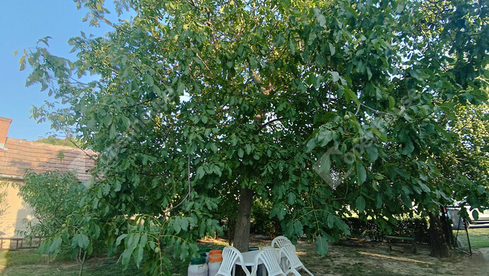 7. kép | Eladó Családi ház, Marcali (#177837)