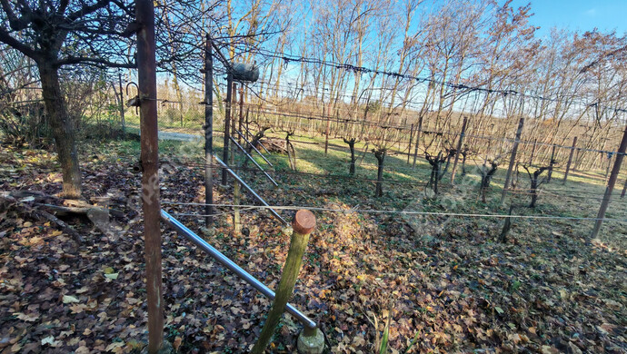 22. kép | Eladó Nyaraló, Letenye (#178652)