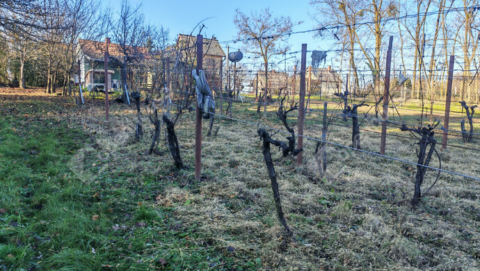 28. kép | Eladó Nyaraló, Letenye (#178652)