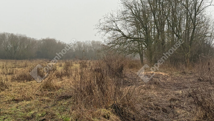 9. kép | Eladó Telek, Zalaegerszeg (#179597)