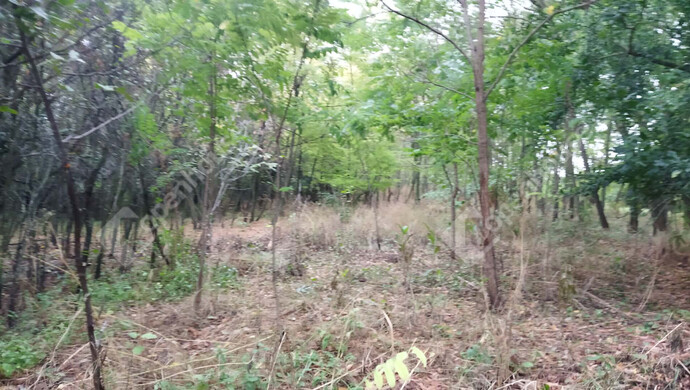 14. kép | Eladó Telek, Öreglak (#179289)