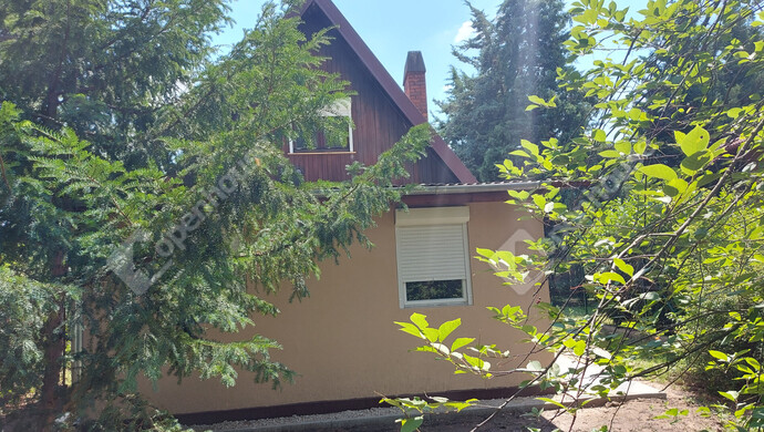 19. kép | Eladó Nyaraló, Gyomaendrőd (#176120)