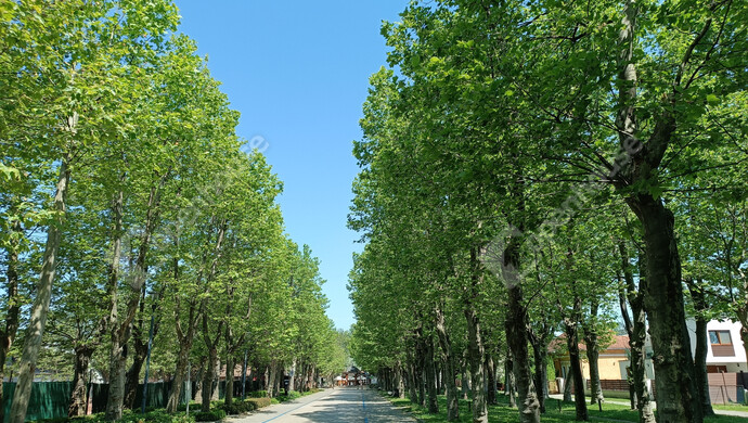 35. kép | Eladó Családi ház, Balatonboglár (#177807)