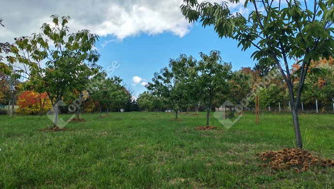 60. kép | Eladó Nyaraló, Nagykanizsa (#177970)