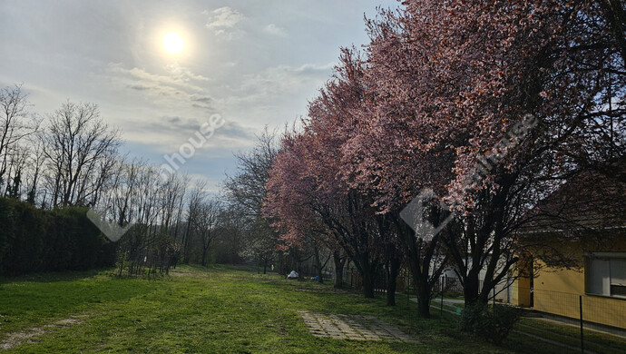 11. kép | Eladó Családi ház, Szőlősgyörök (#179158)