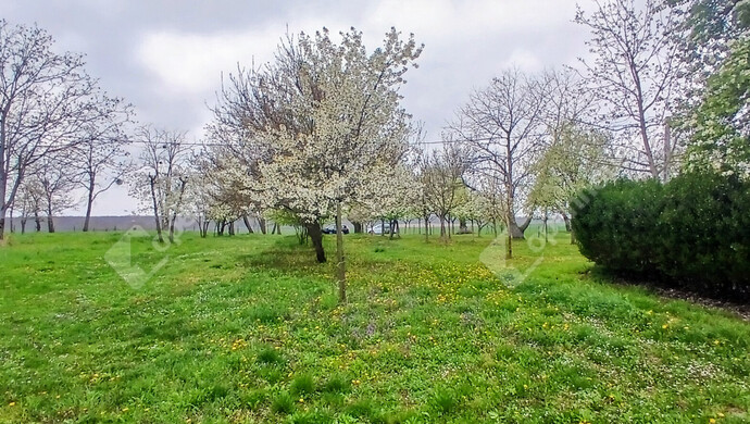 27. kép | Eladó Zárt kert, Nagypáli (#181046)