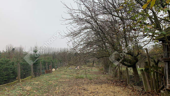 82. kép | Eladó Családi ház, Murakeresztúr (#178378)