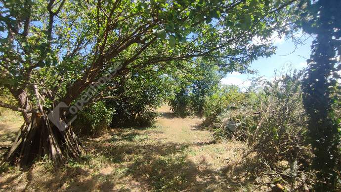 53. kép | Eladó Nyaraló, Szepetnek (#176202)