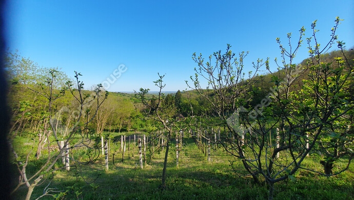 29. kép | Eladó Nyaraló, Homokkomárom (#181371)