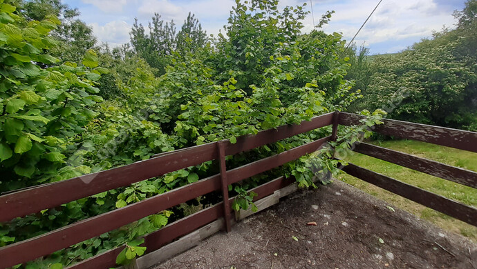 23. kép | Eladó Nyaraló, Nagykanizsa (#175145)