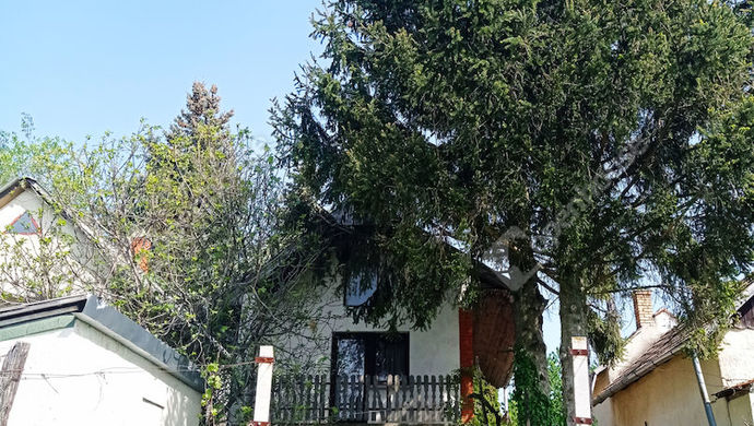 0. kép | Eladó Családi ház, Zalaegerszeg (#166699)