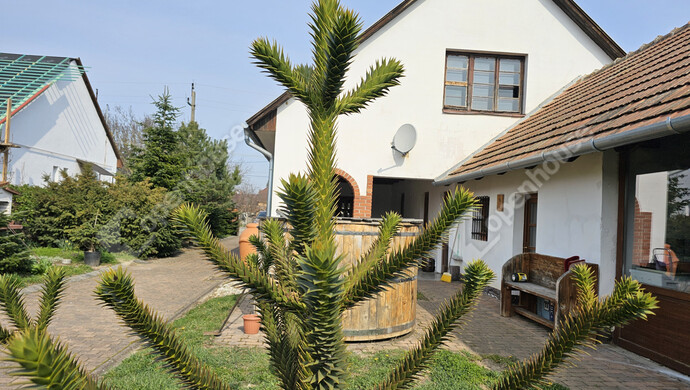 7. kép | Eladó Családi ház, Balatonlelle (#179608)