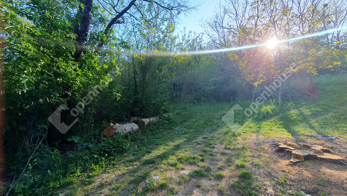 15. kép | Eladó Nyaraló, Homokkomárom (#181371)