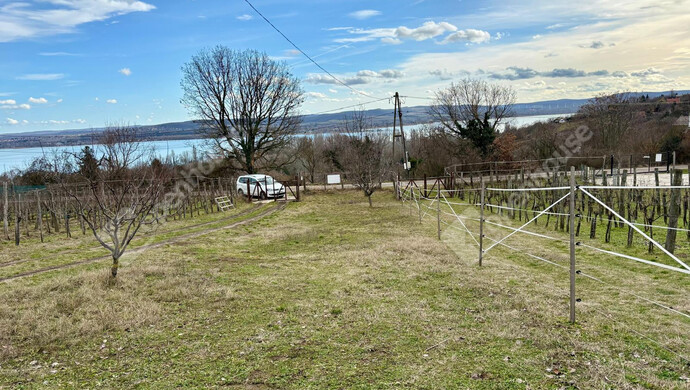 23. kép | Eladó Családi ház, Tihany (#179984)