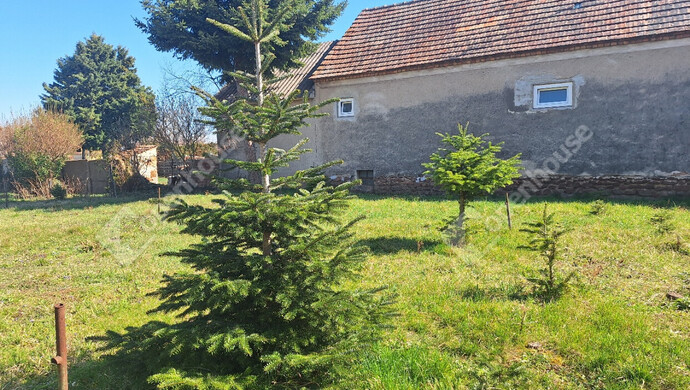 4. kép | Eladó Telek, Fertőszéplak (#172129)