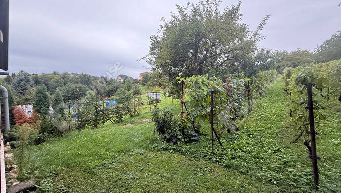 38. kép | Eladó Zárt kert, Zalaegerszeg (#177101)