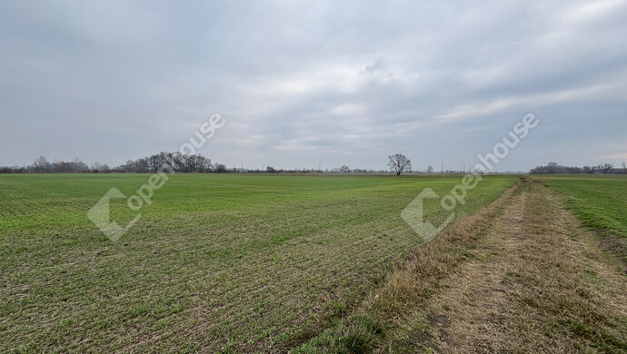 3. kép | Eladó Telek, Csévharaszt (#178893)